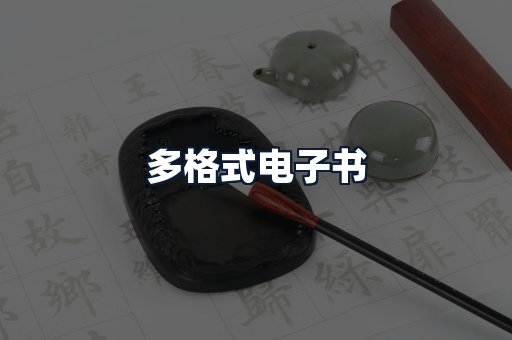 多格式电子书